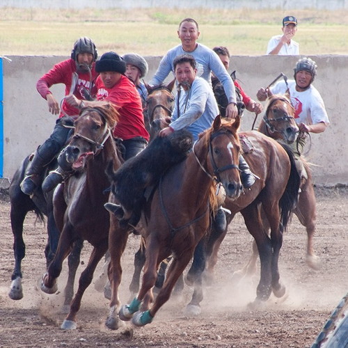 Central Asian Animals And Wildlife