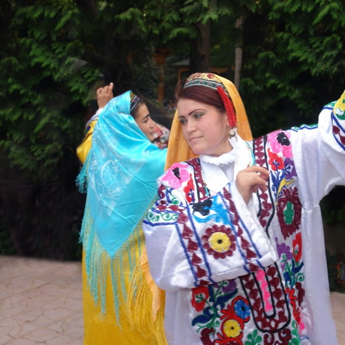 Central Asian Animals And Wildlife