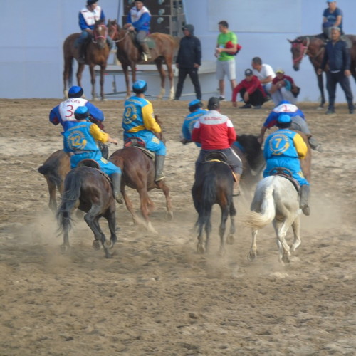 Central Asian Animals And Wildlife