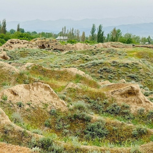 Central Asian Animals And Wildlife