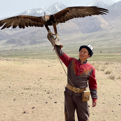 Central Asian Animals And Wildlife