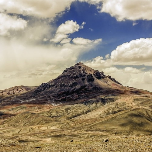 Central Asian Animals And Wildlife