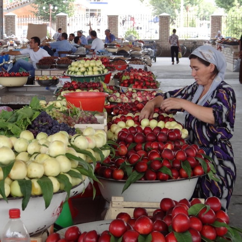Central Asian Landscapes