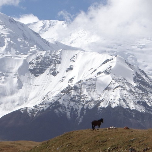 Central Asian Modern Life